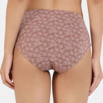 Women Pack Of 3 Mid Rise Hipster Briefs