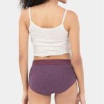Pack Of 3 Women Cotton Hipster Briefs