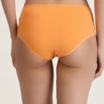 Women Pack of 3 Mid Rise Basic Briefs